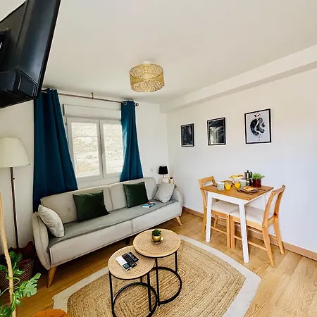 Cosy - La Soie, Groupama Stadium Et Centre Appartement
